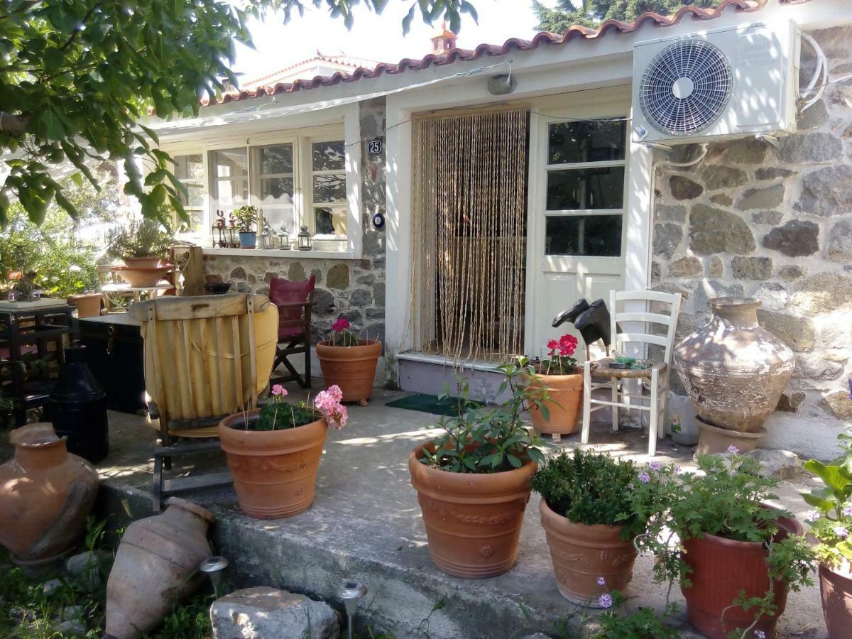 Arcadia Eressos Hotel Exterior photo